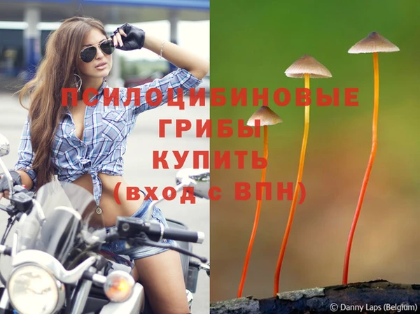 спайс Наволоки