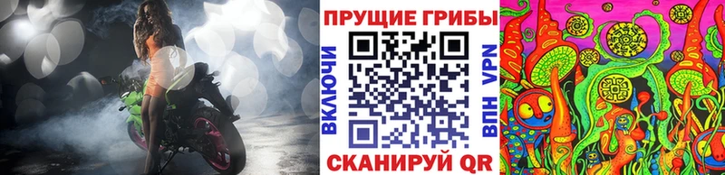 как найти закладки  Лебедянь  hydra сайт  Псилоцибиновые грибы прущие грибы 